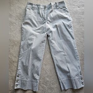 Charter Club Classic Fit Capris Tan Size 12